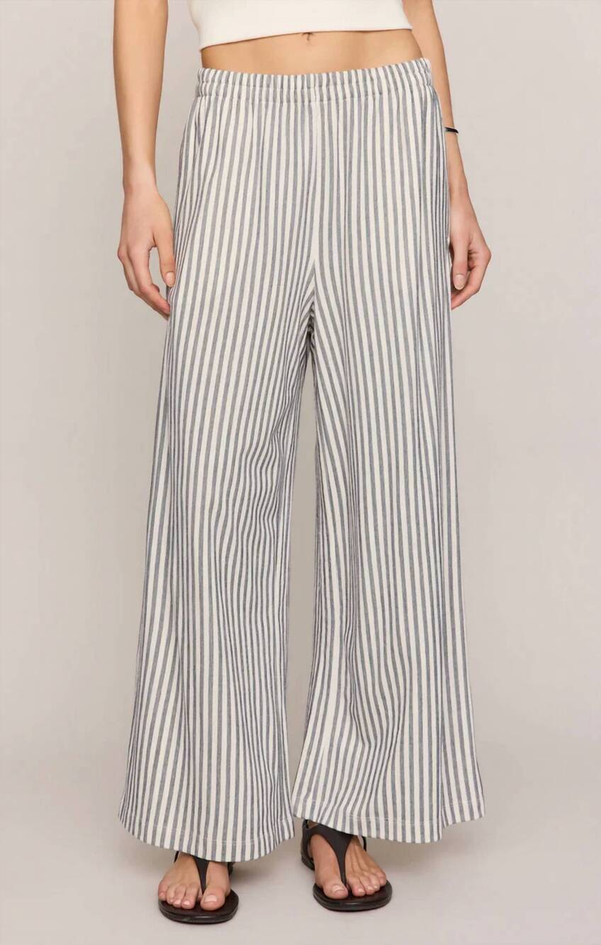 NEW Z SUPPLY scout striped pant in blue